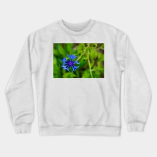 Blue cornflower herb flower head isolated on natural green background Crewneck Sweatshirt